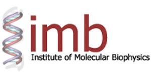 FSU Institute of Molecular Biophysics logo