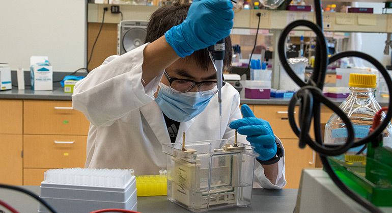 MagLab postdoc Rongfu Zhang loads samples of the COVID-19 E protein onto a protein gel to verify their purity.