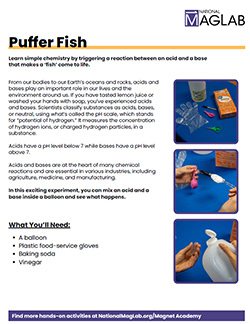 Try at home Inflating Puffer Fish worksheet cover