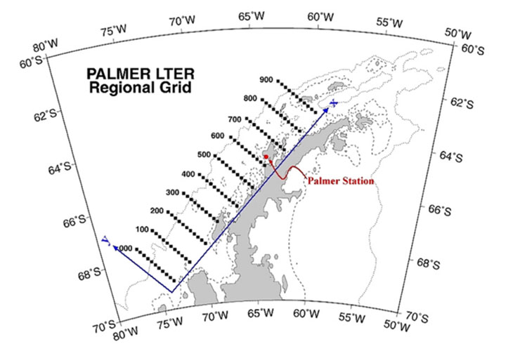 The Palmer Long-Term Ecological Research study area, “the grid.”  (Palmer Station LTER.)