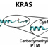 X-ray crystal structure of normal (KRAS4B) 