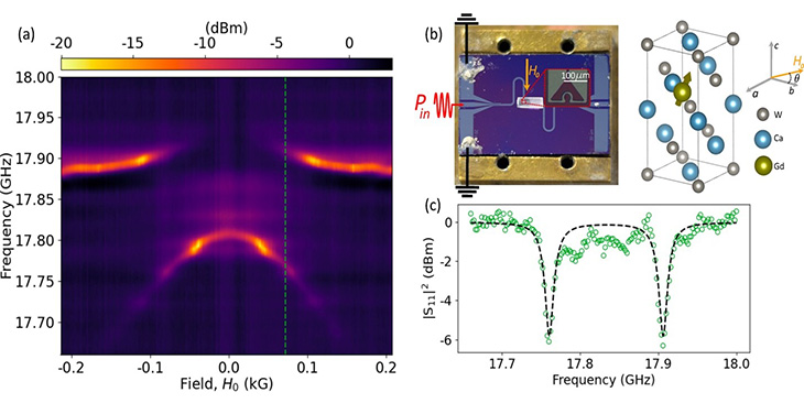 (a) Contour plot showing frequency scans as a function of applied field and (c) a vertical cut at the green dashed line shows the strong coupling resonance split. (b) On-chip superconducting resonator with a CaWO4 crystal on top (left) and the crystal structure showing Gd3+ impurities.