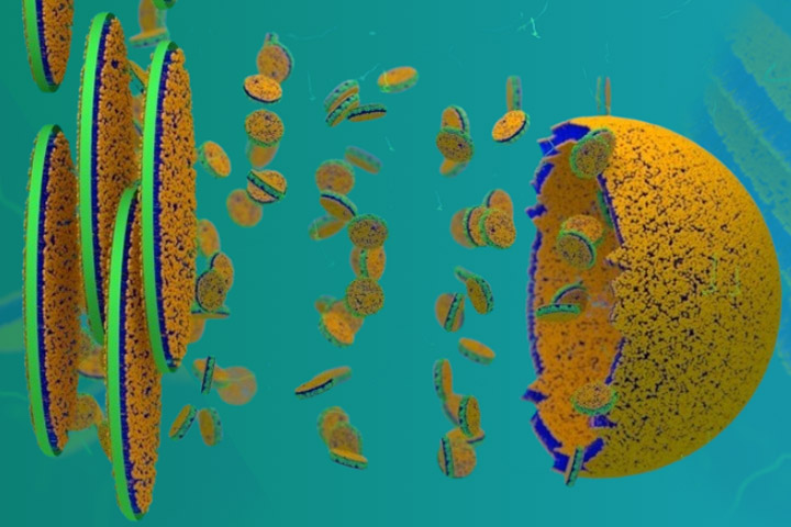 Illustration of structural biology and drug