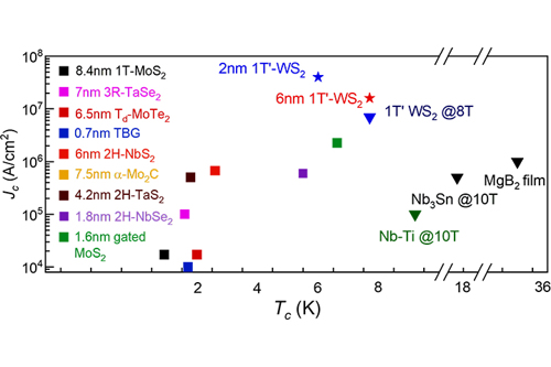 Comparison of critical current densities among 1T′-WS2 (high-lighted by blue box) and other representative 2D super-conductors, such as twisted bilayer graphene (TBG) and transition metal dichalcogenides. Nb-Ti and Nb3Sn (used in building superconducting magnets) are included in the figure for reference.