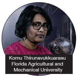 Komu Thirunavukkuarasu - Florida Agricultural and Mechanical University
