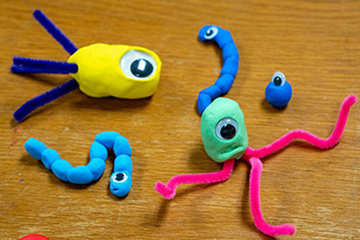 Bacteria from Play-Doh