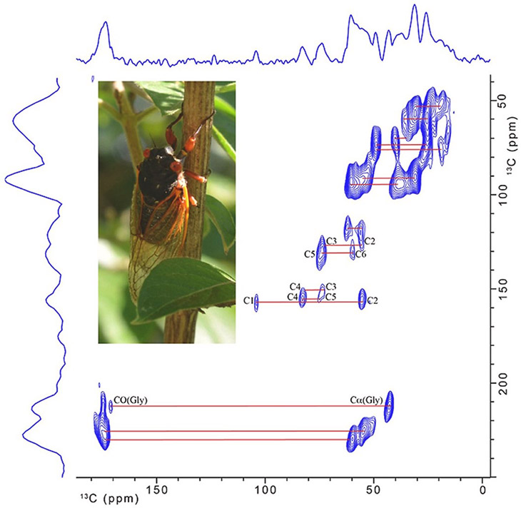 The cicada picture and a graph of the MagLab's wing spectra