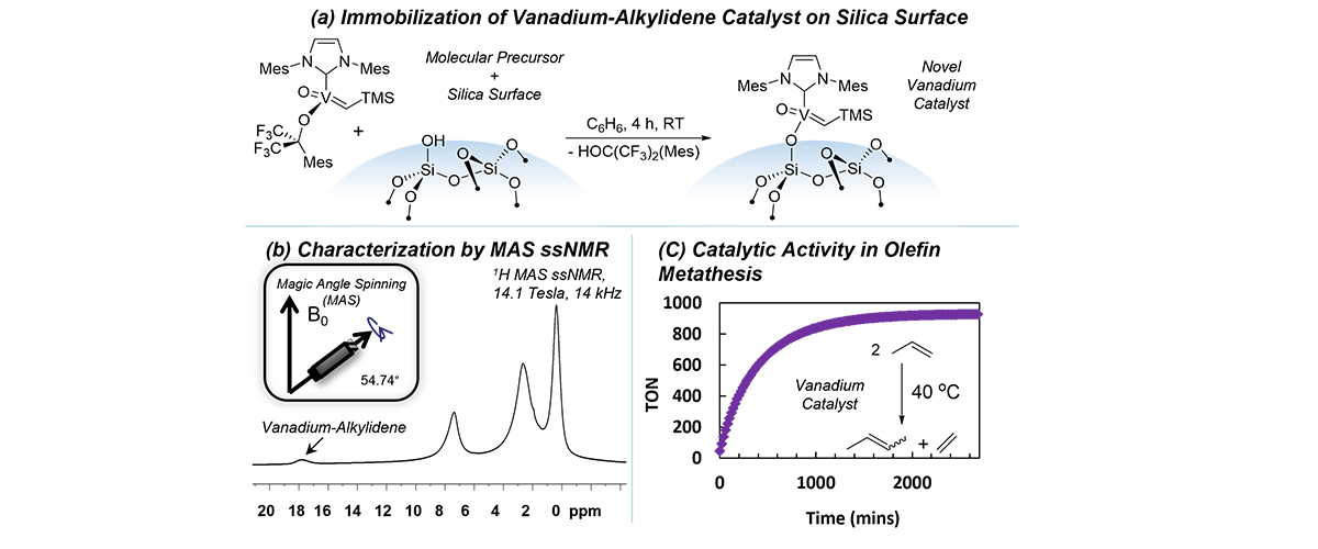 Set of graph from vanadium-alkylidene research