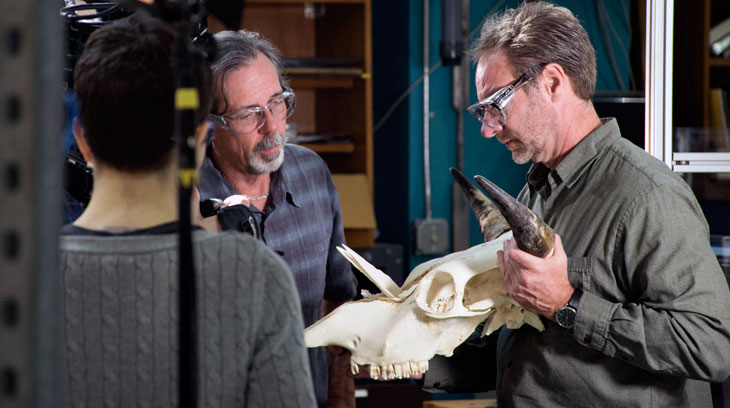 MagLab mechanical engineer Bob Walsh (left) and FSU professor Greg Erickson examine a cow skull damaged in the MTS machine.