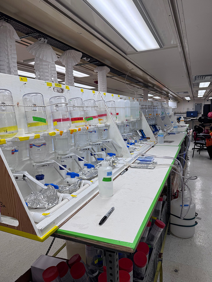 Water samples in a lab aboard the ship.