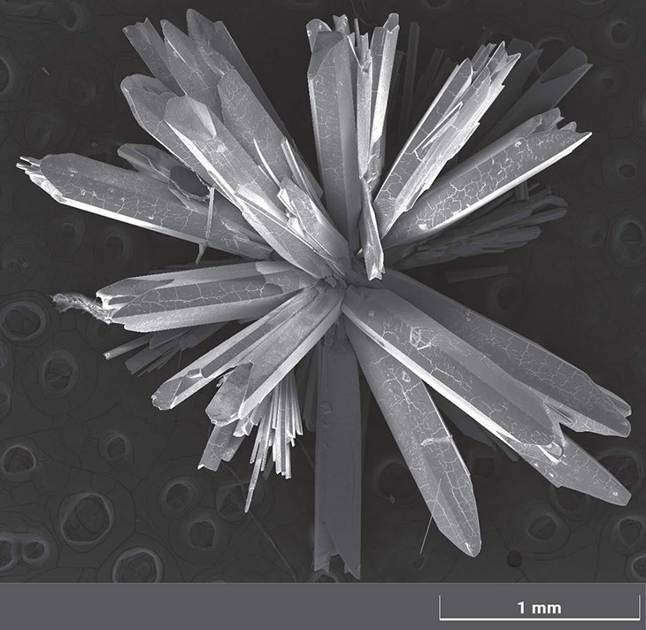 Synthetic Gypsum Crystal