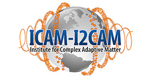 Institute for Complex Adaptive Matter Logo