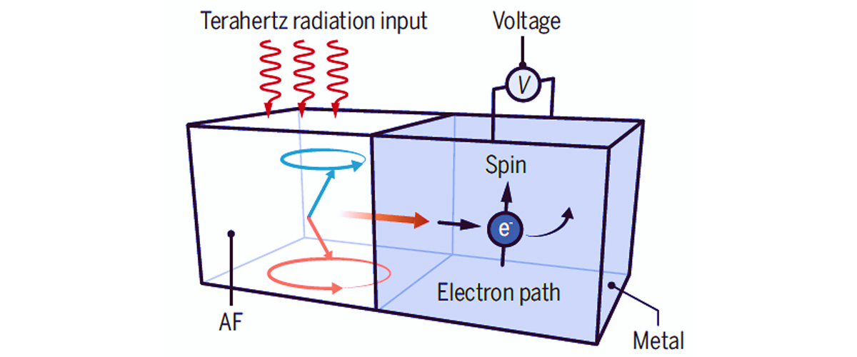 Incident terahertz radiation pumps spin current into an adjacent metal, which is converted into a charge current and charge voltage through the so-called spin Hall effect.
