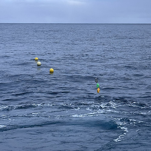 Scientists and crew deploy a sediment trap and the accompanying floats aboard the Research Vessel Roger Revelle picture 3